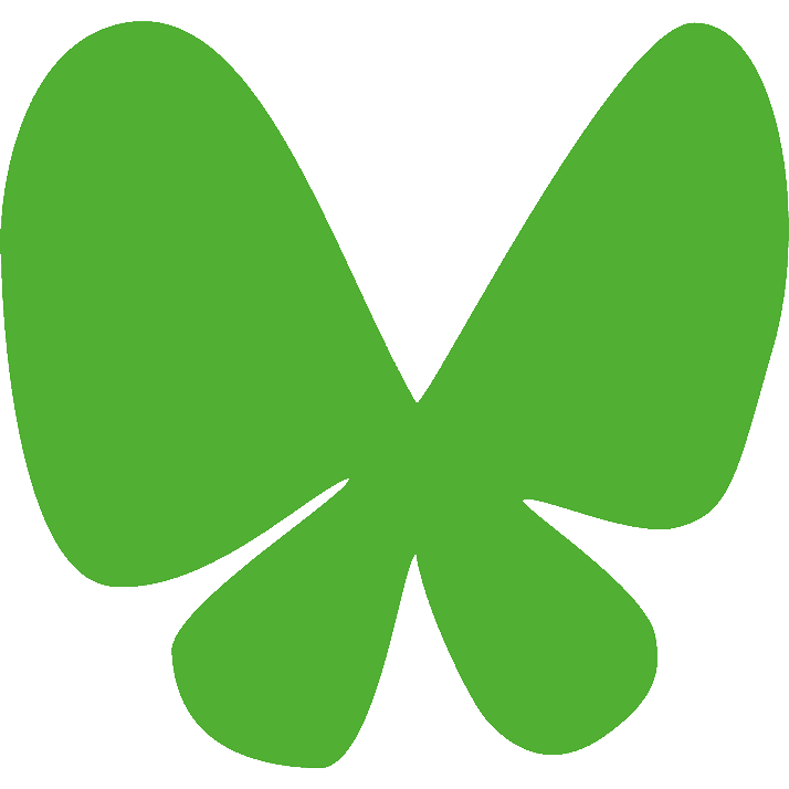 papillon-vert-fav